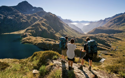 A vision for NZ: A safe place where everyone can prosper